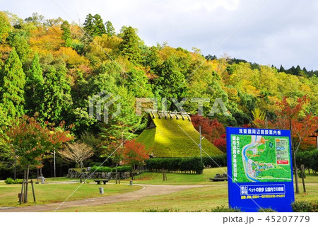 福井県おおい町　頭巾山青少年旅行村　茅葺民家と流星館周辺案内板と紅葉 45207779