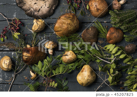 yellow knight mushrooms on a table yellow knight mushrooms on a table 45207825