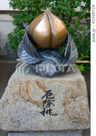 厄除桃（晴明神社 京都） 45208726