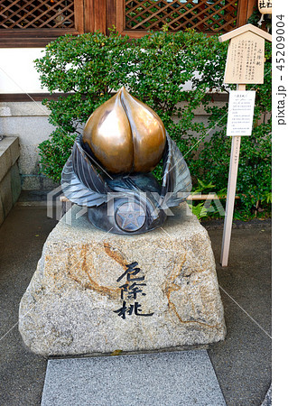 厄除桃 晴明神社 京都 の写真素材