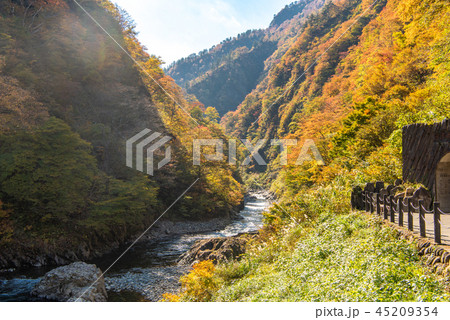 清津峡渓谷 紅葉 45209354
