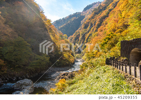 清津峡渓谷 紅葉 45209355
