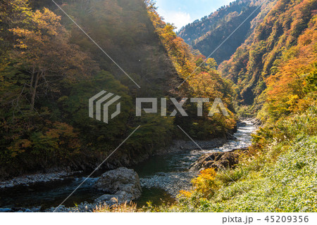 清津峡渓谷 紅葉 清津峡渓谷 紅葉 45209356