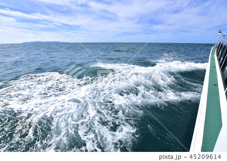 笹川流れ遊覧船からの景色 45209614