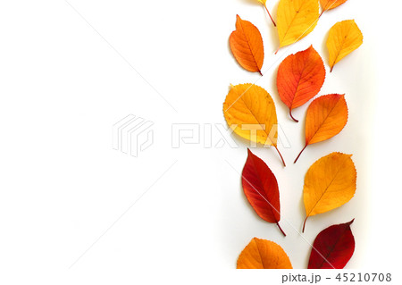 Autumn composition. Flat lay, top view 45210708