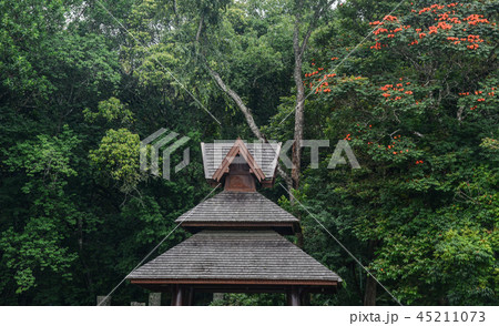 Summer house with botanic garden Summer house with botanic garden 45211073