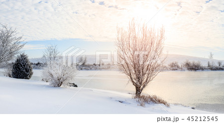 Winter scene in Central Kentucky 45212545