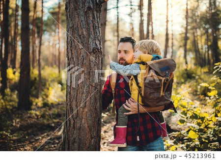 A mature father holding a toddler son by a tree in an autumn forest, talking. 45213961