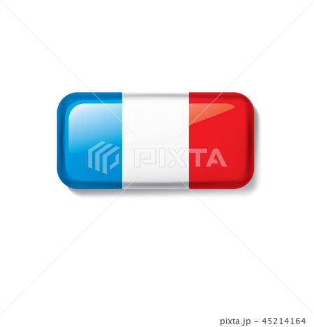 France flag, vector illustration on a white background. 45214164