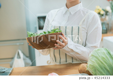 Housework Housework 45214333