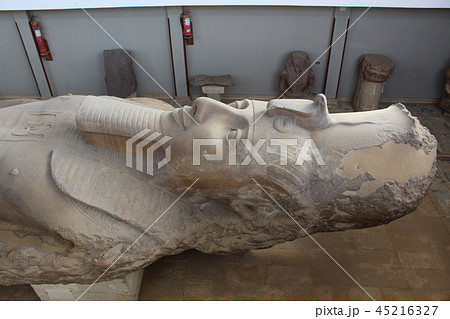 メンフィスのラムセス2世 45216327