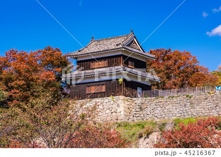 《長野県》上田城址公園　南櫓　秋の紅葉 45216367
