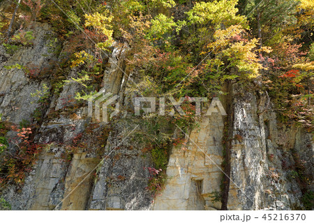 屏風岩の紅葉　福島県南会津町 45216370