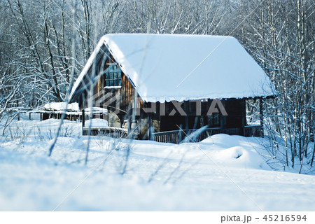 Wooden winter cabin loct in forest 45216594