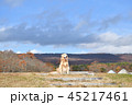 ゴールデンレトリバー× 45217461