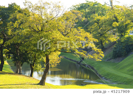 熊本城内堀の紅葉 熊本城内堀の紅葉 45217909