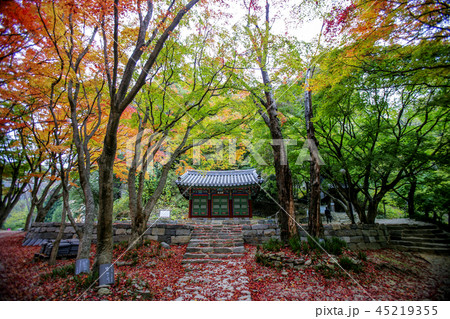 全北 韓国 屋外 45219355