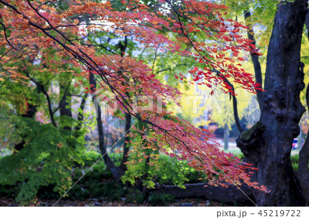 全北 韓国 屋外 45219722