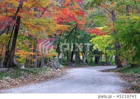 全北 韓国 屋外 45219743