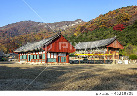 全北 韓国 屋外 45219809