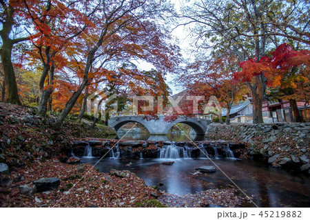 寺院 風景 紅葉 45219882