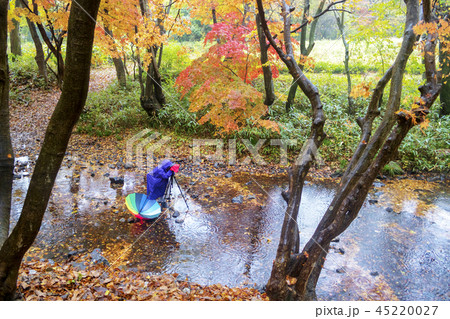 全北 韓国 屋外 45220027
