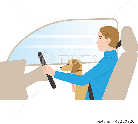 危険な運転. ペットを抱きながら運転. 危険な運転. ペットを抱きながら運転. 45220526