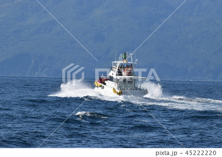 ホエールウォッチング 45222220