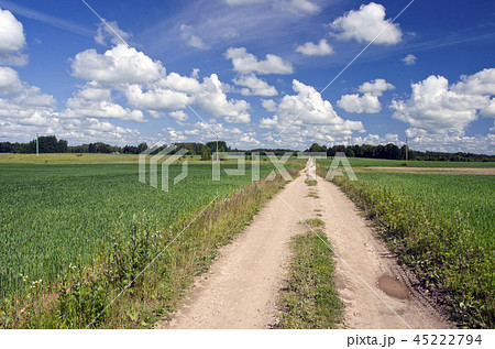 Rural road through fields and blue sky clouds Rural road through fields and blue sky clouds 45222794