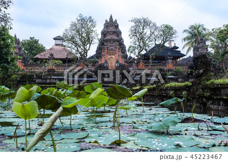 Lotus Temple, Bali Lotus Temple, Bali 45223467