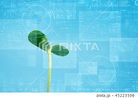 Image 45223506