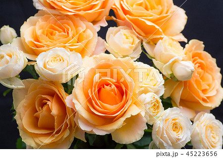 オレンジのスタンダードバラ・オークランドとアプリコットのスプレーバラ・サラ 45223656