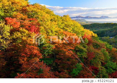八幡平の紅葉 八幡平の紅葉 45224121