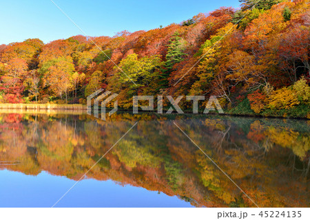 八幡平の紅葉 45224135