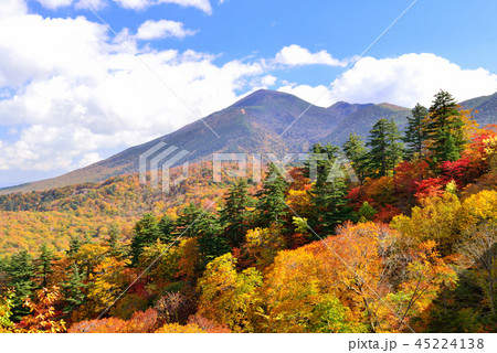 八幡平の紅葉 45224138