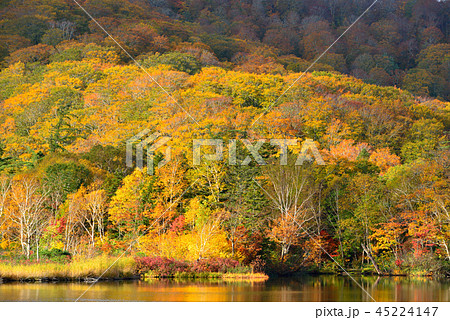 八幡平の紅葉 45224147