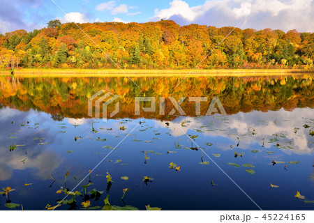 八幡平の紅葉 45224165