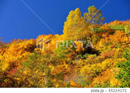 八幡平の紅葉 八幡平の紅葉 45224172