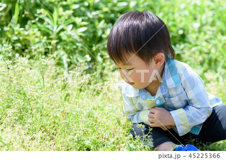 たんぽぽと男の子 45225366