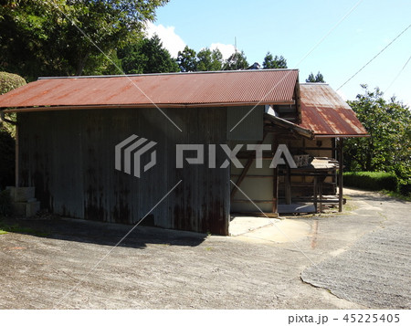 冬野　明日香 45225405