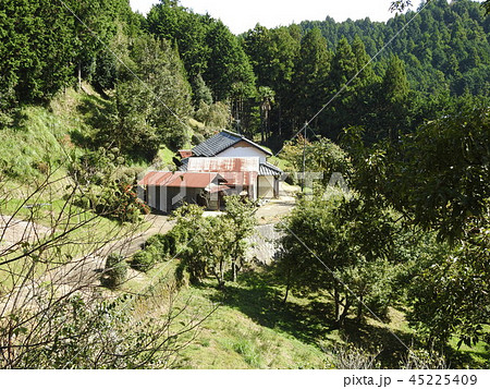 冬野　明日香 45225409