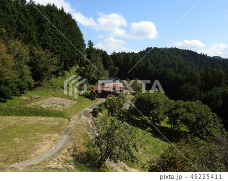 冬野　明日香 45225411