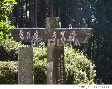 冬野　明日香 45225413