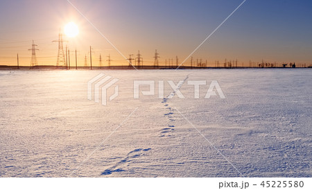 Sunset on the horizon of the winter field Sunset on the horizon of the winter field 45225580