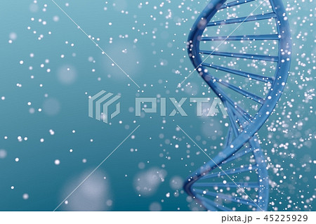 DNAイメージ 45225929