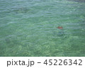 海亀 45226342