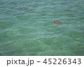 海亀 45226343