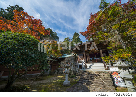 紅葉 根香寺本堂(四国第八十二番札所) 45226615