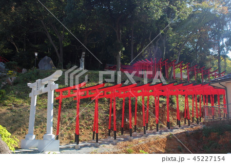 須賀神社の北伏見稲荷神社 45227154