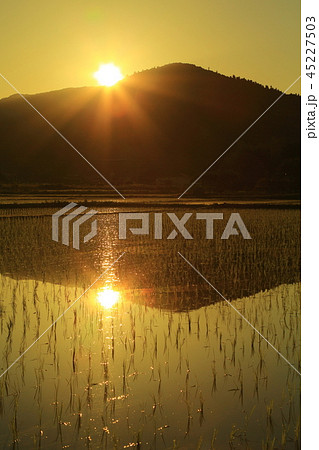 三輪山の夜明け 45227503